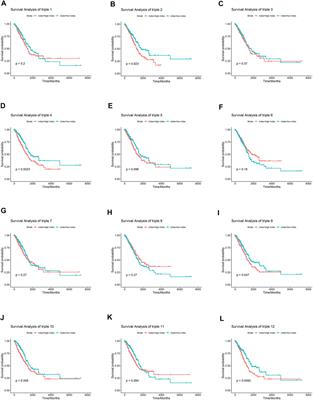 Identification of lncRNA–miRNA–mRNA Networks Linked to Non-small Lung Cancer Resistance to Inhibitors of Epidermal Growth Factor Receptor